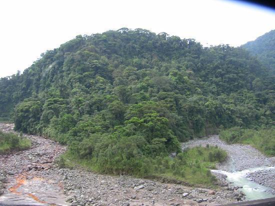Parque Nacional Braulio Carrillo景点图片