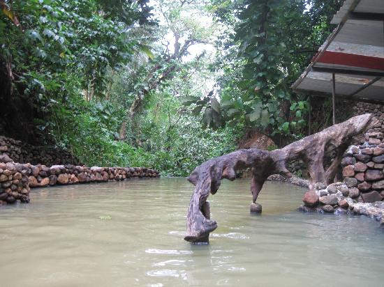 Screw's Sulphur Spa-多米尼克必去景点