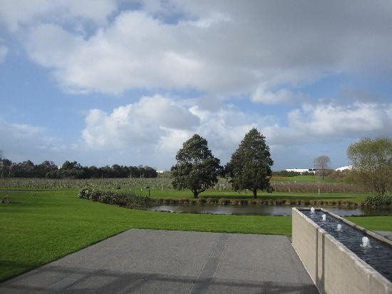 新西兰红酒升级之旅-奥克兰葡萄酒之旅-奥克兰中心地区必去景点