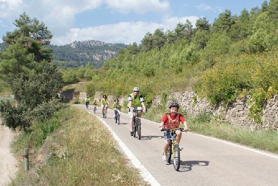 Salou Downhill Bikes景点图片