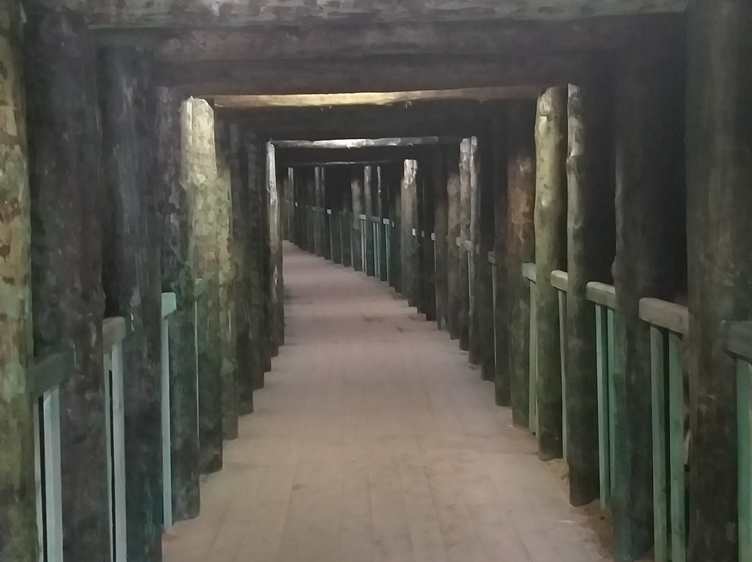 Nagorzyckie Grotto景点图片