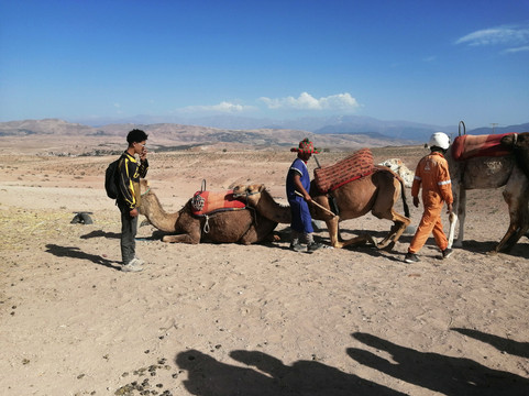 Marrakech Quad and Loc-马拉喀什必去景点