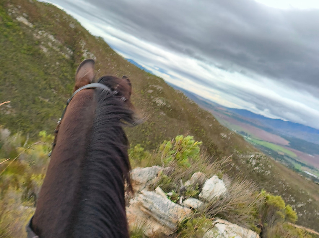 Honingklip Equestrian-Botrivier必去景点