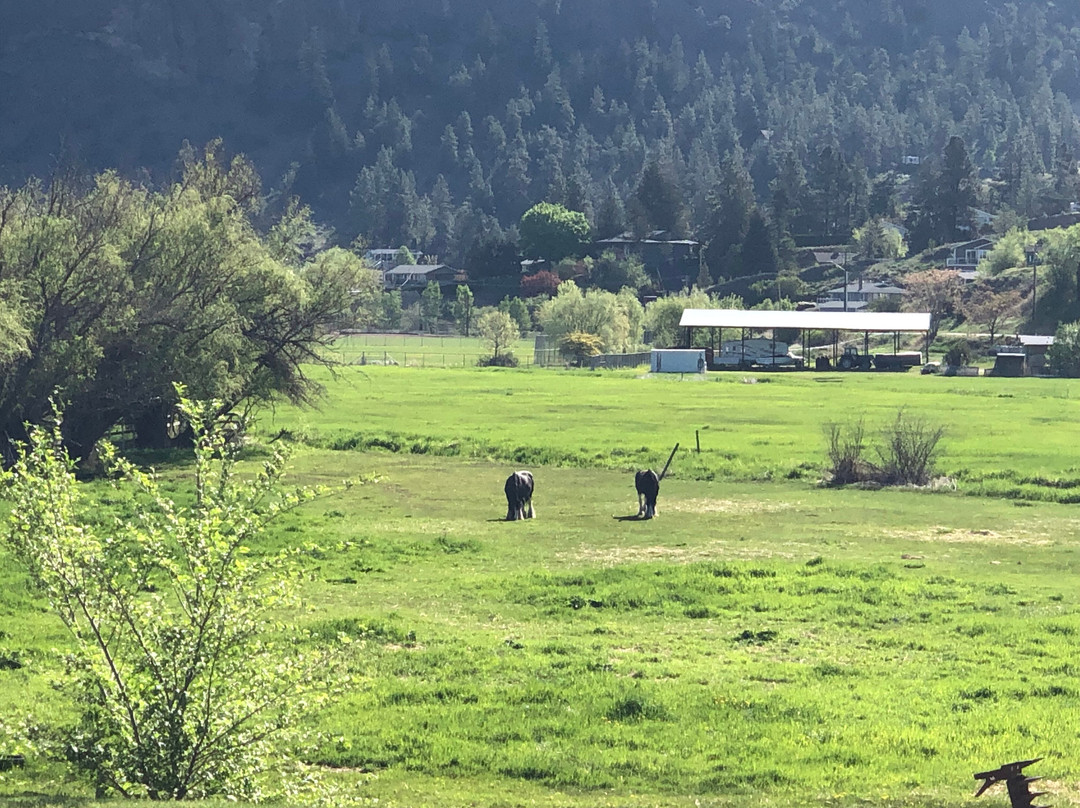 Harvelle House Bed & Breakfast主图