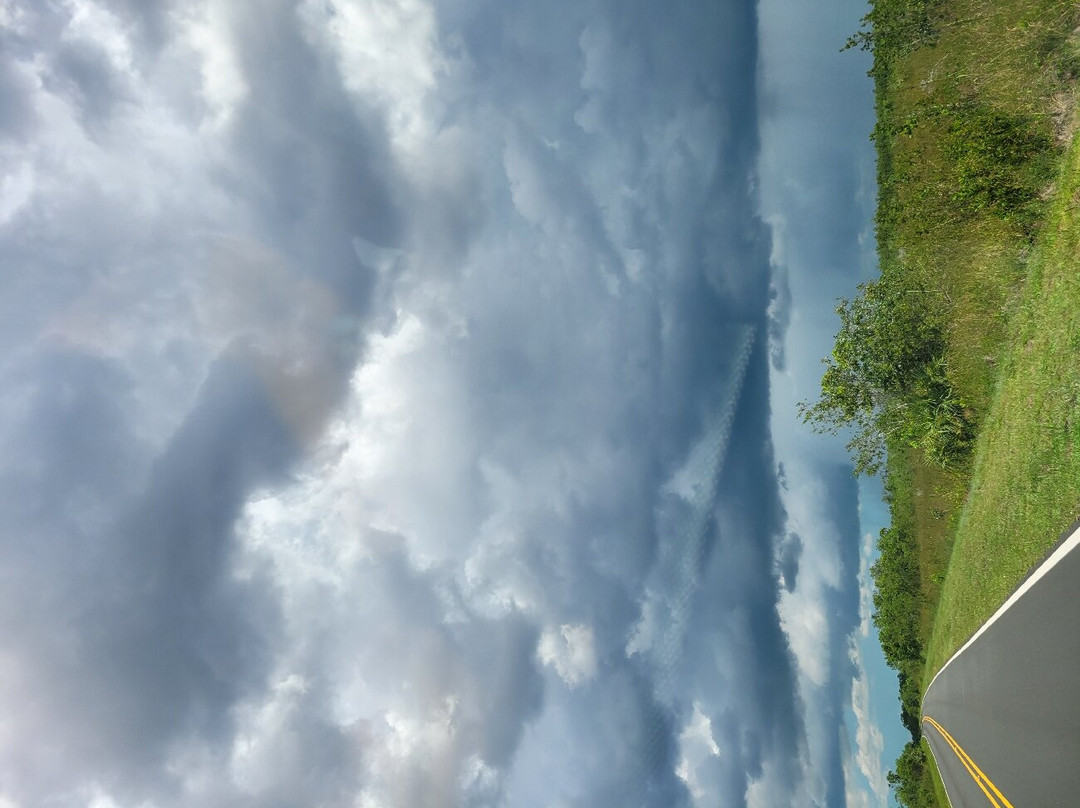 Flamingo-大沼泽国家公园必去景点