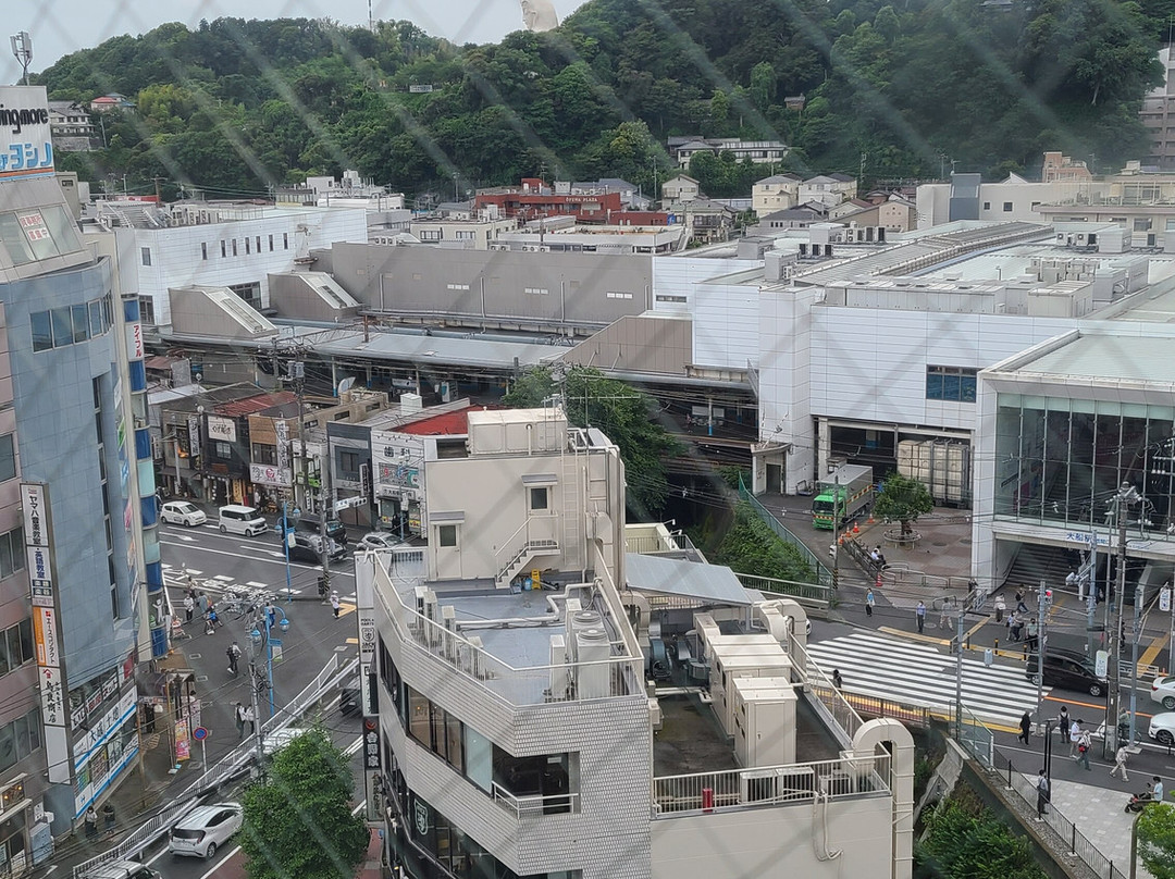 镰仓奥夫那草莓酒店主图