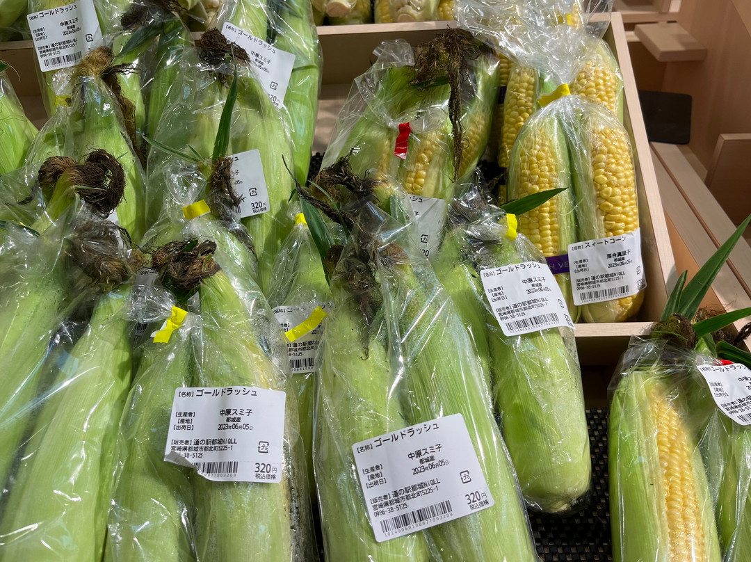 Miyakonojo Michi-no-Eki-都城市必去景点