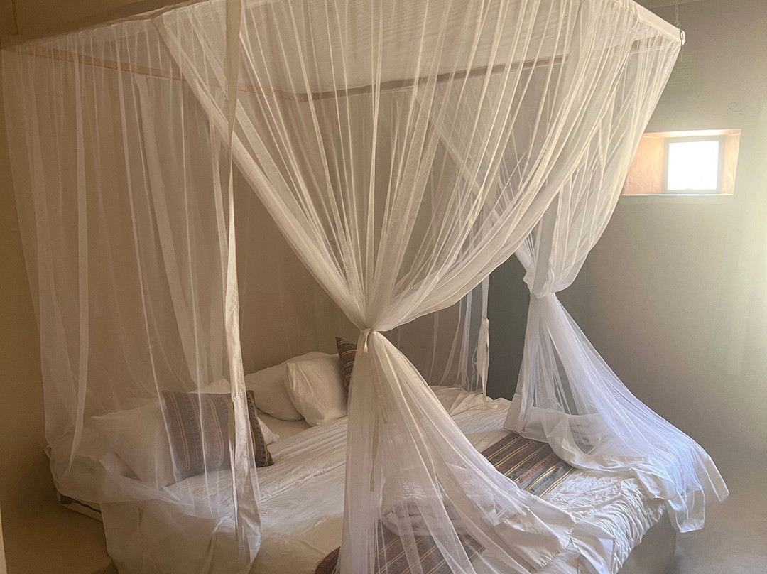 Feynan Ecolodge主图