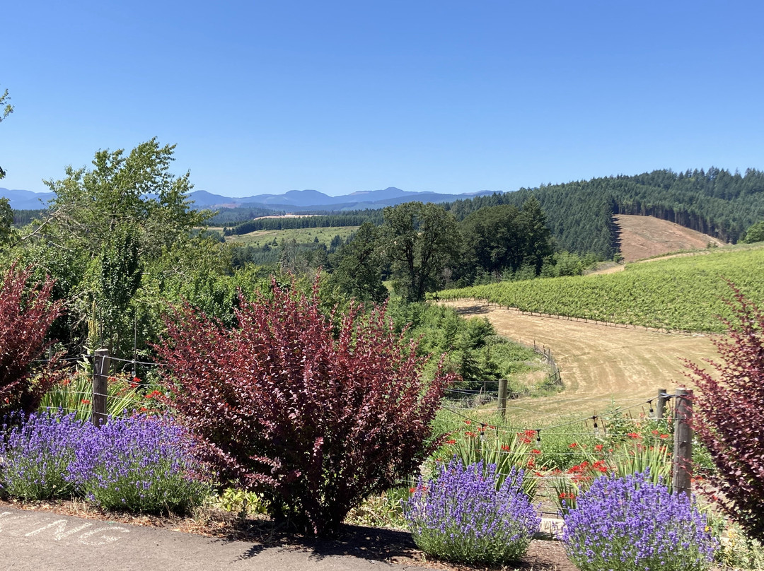 Elk Cove Vineyards-Gaston必去景点