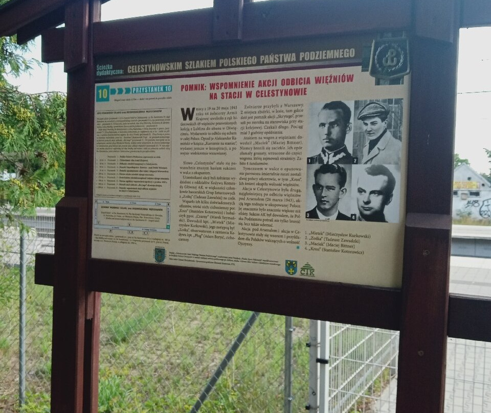 Mazowiecki Park Krajobrazowy景点图片