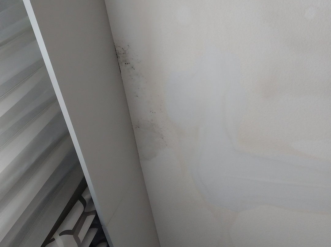 Hampton Inn & Suites Ardmore主图