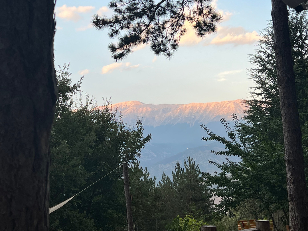 Bosco Plaja