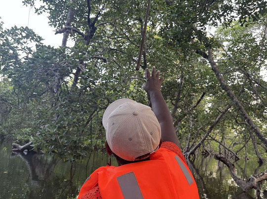 Jelly Taxi Watamu-瓦塔木必去景点