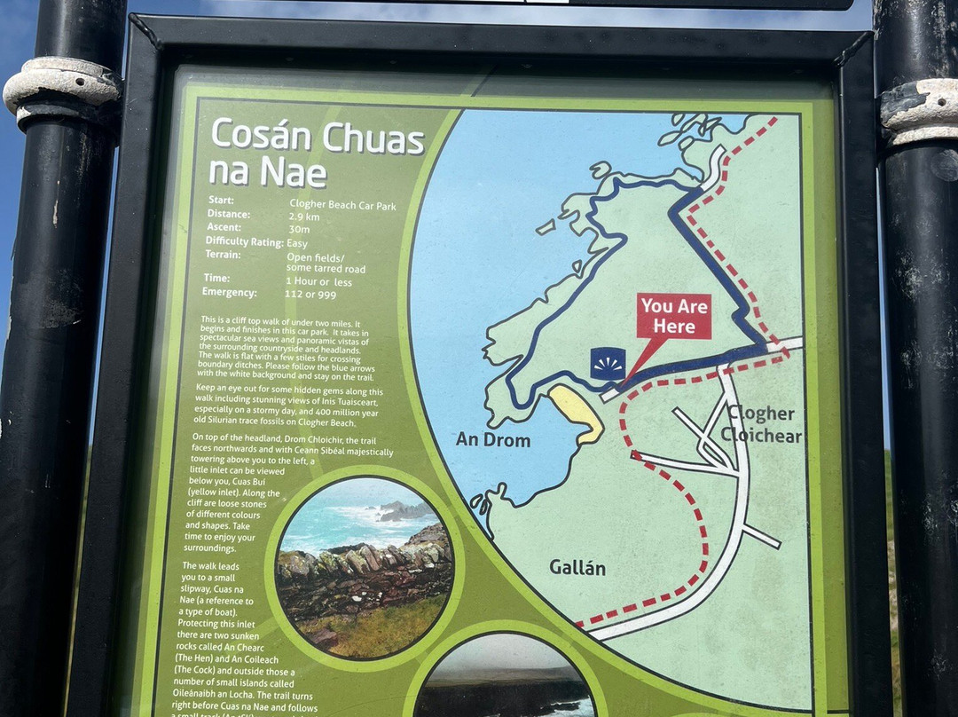 Wild Atlantic Tours-基拉尼必去景点