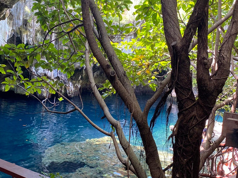 LD Tours & Safaris-桑给巴尔市必去景点