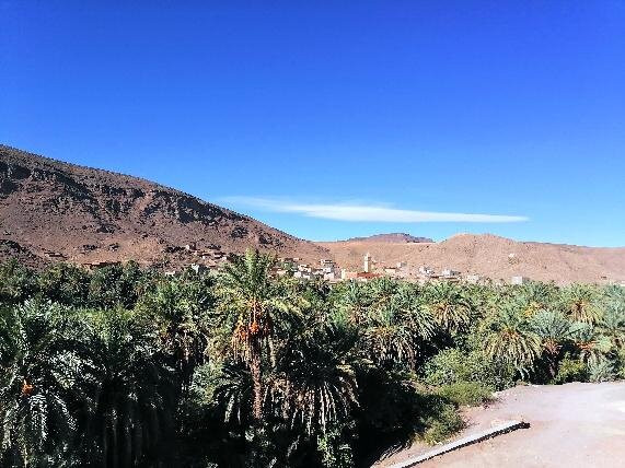 特蕾萨德里斯住宿加早餐旅馆主图