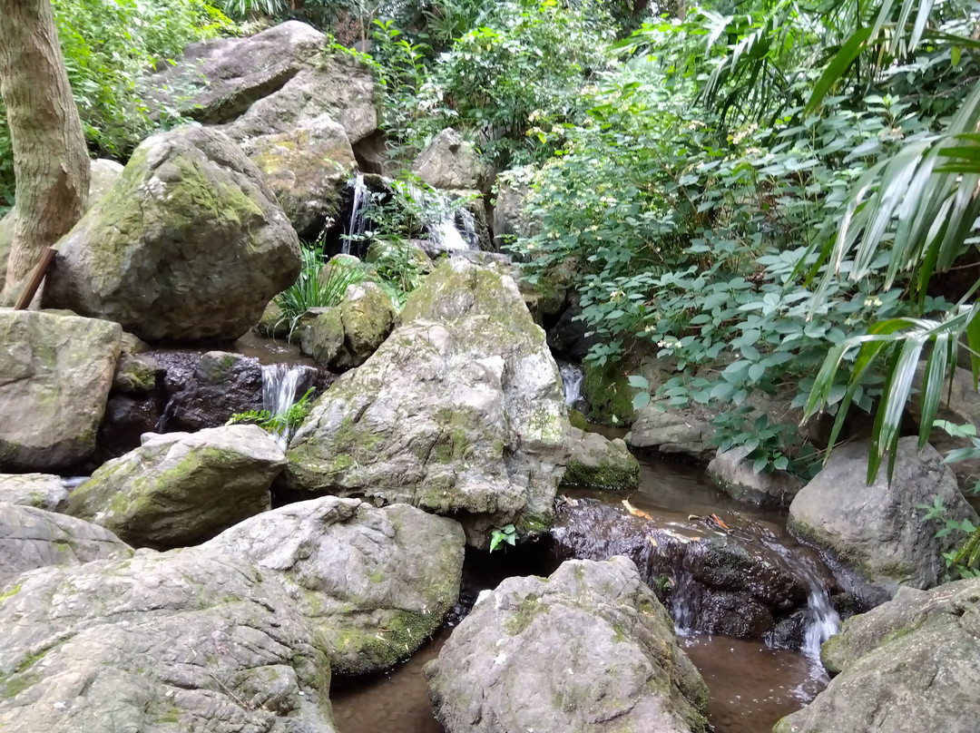 Ikedayama Park-品川区必去景点