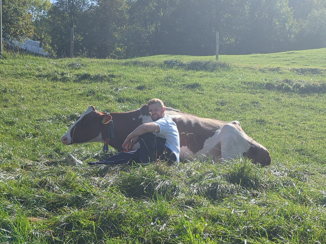 Hug & Mooh-Petit-Va必去景点