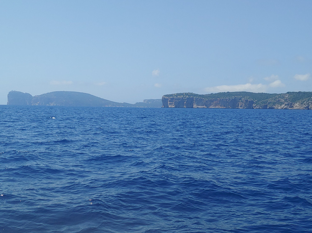 Freccia delle Grotte - Escursioni Grotte di Nettuno-阿尔盖罗必去景点