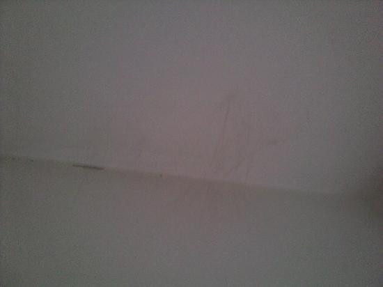 Zum Roessle Hotel Gasthof主图