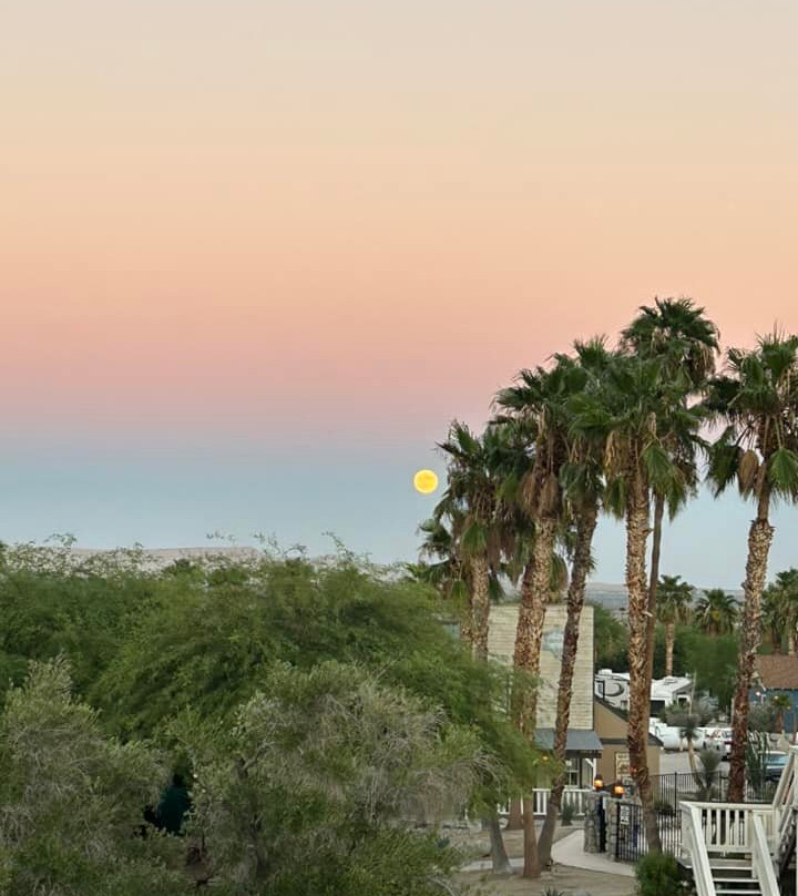 Palm Canyon Hotel & RV Resort主图