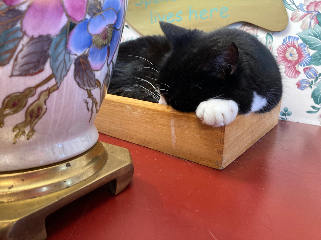 Chesterfield Inn主图