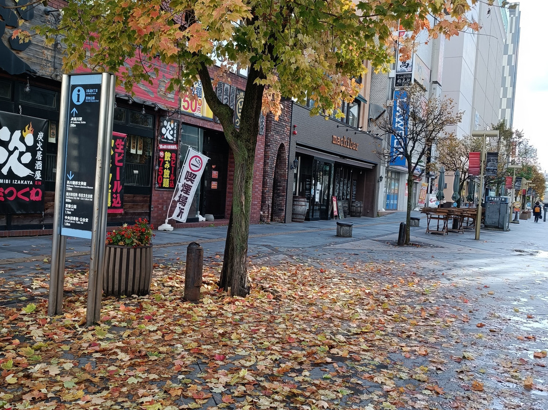 Asahikawa Heiwa Street Shopping Park-旭川市必去景点
