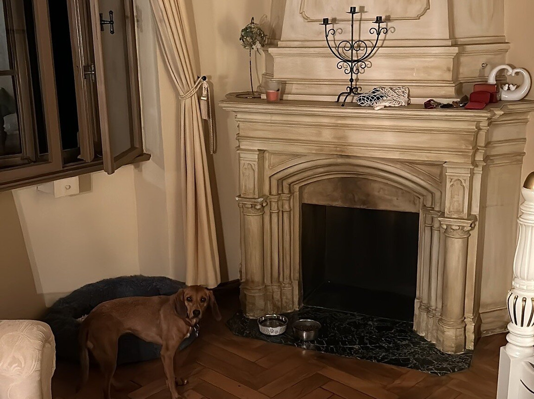 Hotel Jagdschloss Letzlingen主图