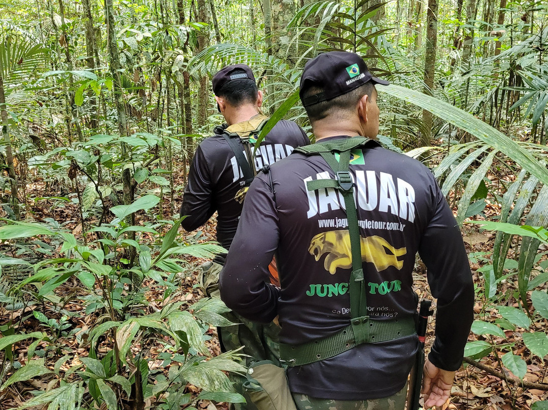 Jaguar Jungle Tour-玛瑙斯必去景点