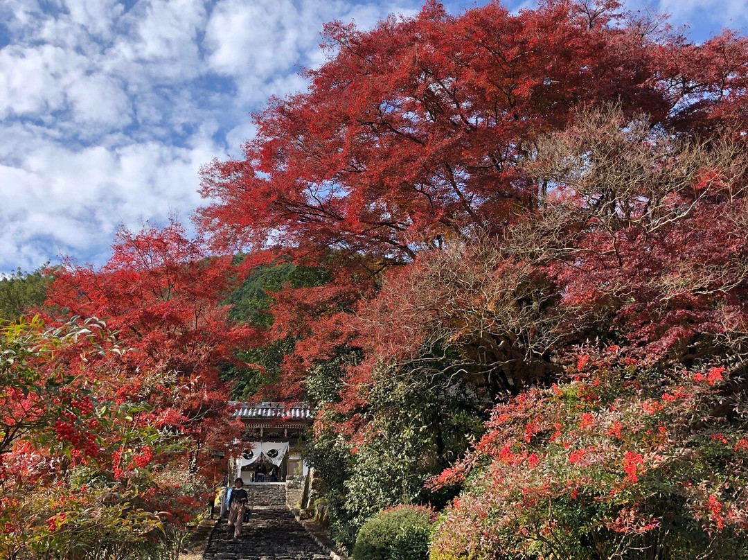 Gyokuryu-ji Temple-下吕市必去景点