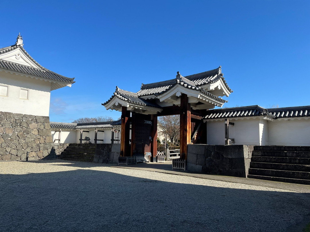 霞城公园景点图片
