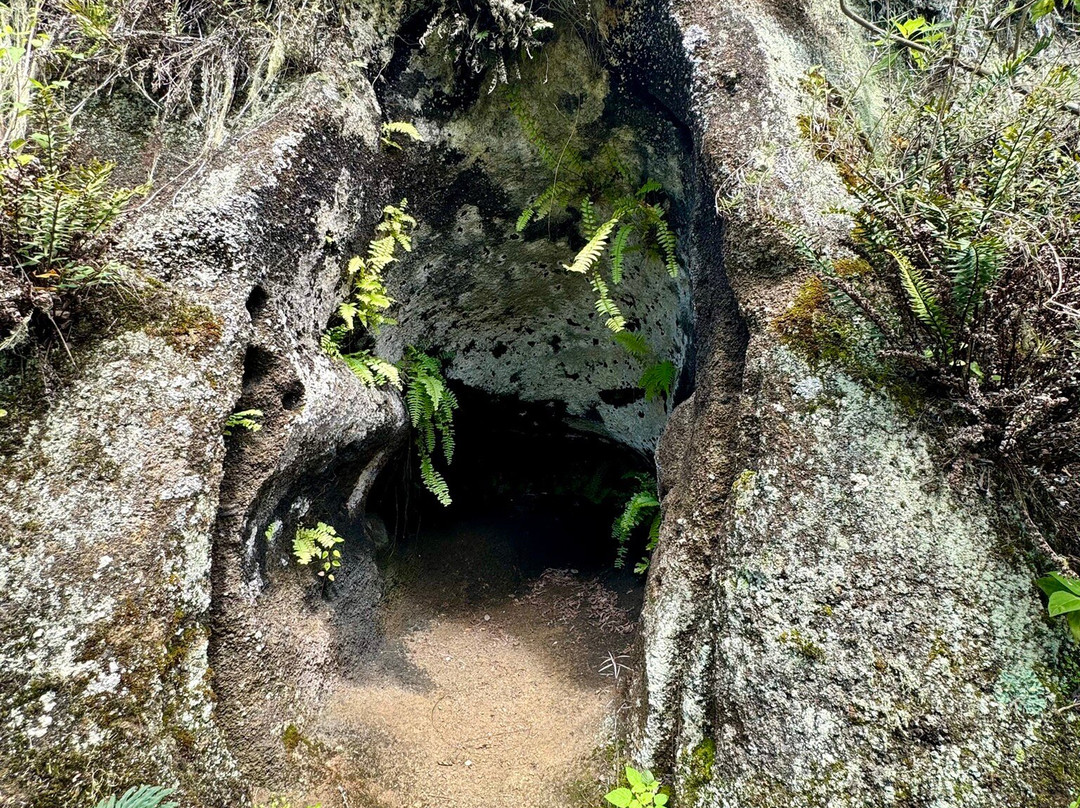 Asilo de la Paz-Floreana必去景点