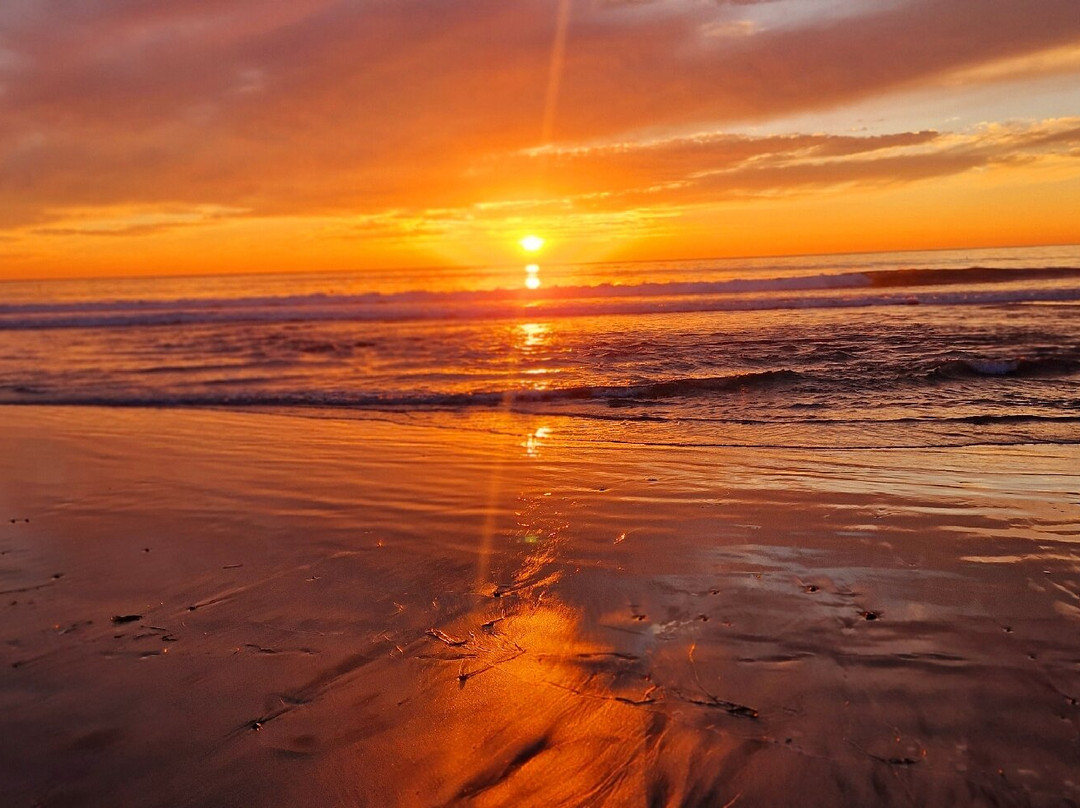 Brisa Pacific Hotel Encinitas主图