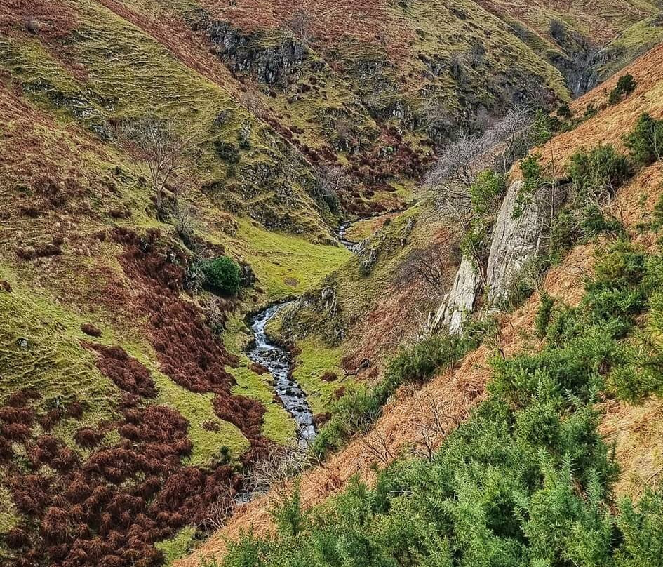 Gartmorn Dam Country Park & Nature Reserve-Alloa必去景点