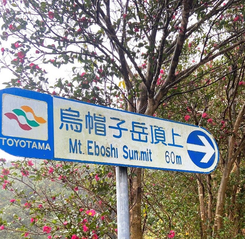 Eboshidake Observatory-对马市必去景点