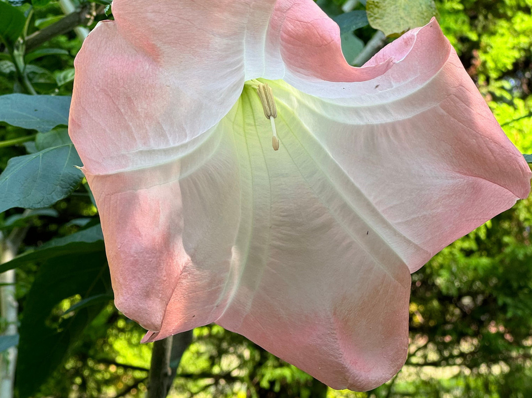 WelcomHeritage Golf View主图