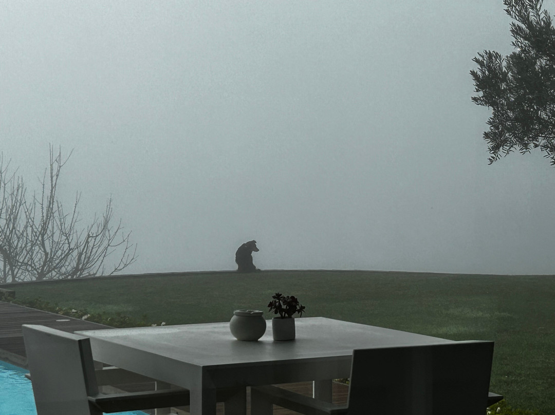 Quinta do Bosque主图