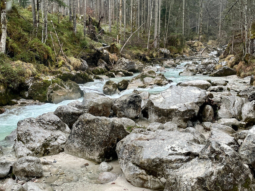 Zauberwald am Hintersee-拉姆绍必去景点