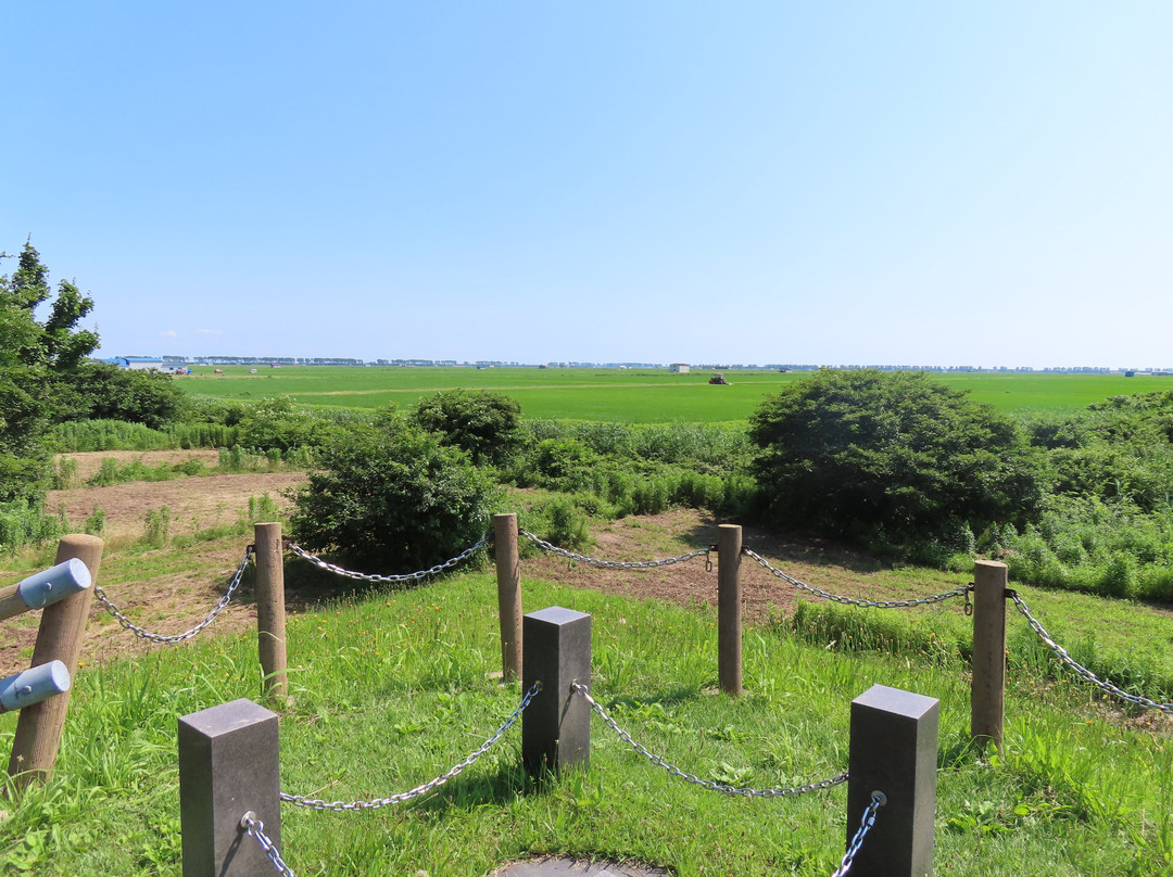 Mt. Ogata Fuji景点图片