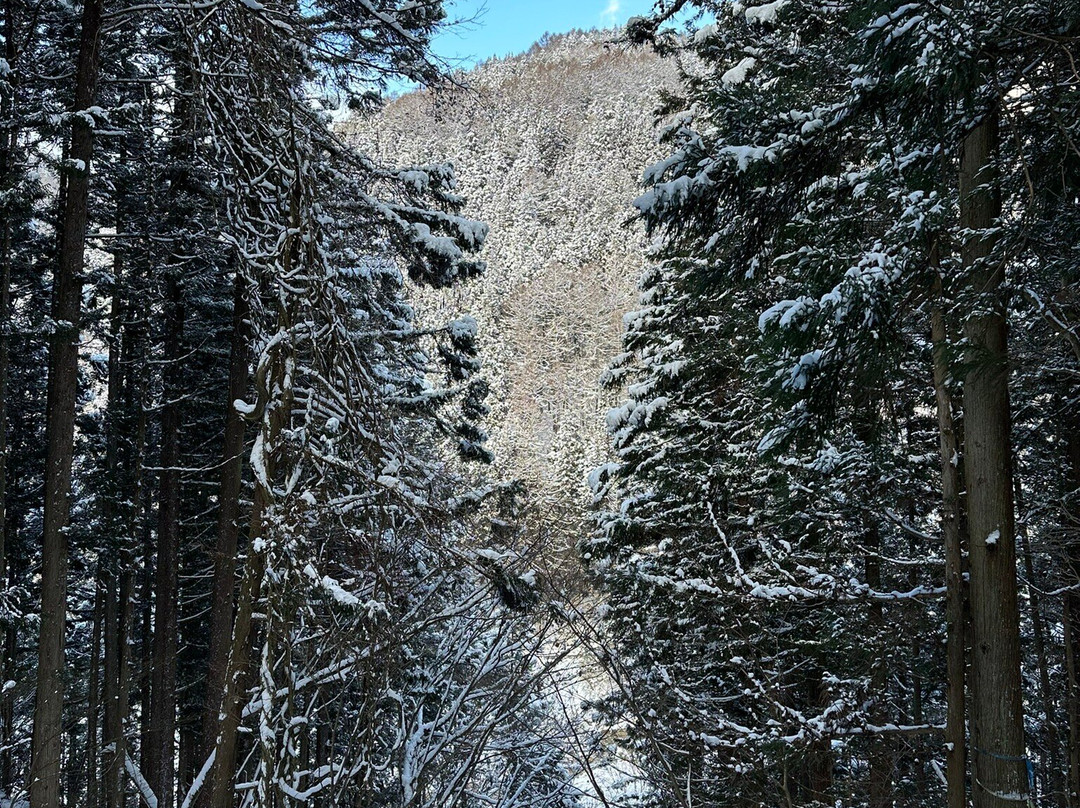 Snow Monkey Resorts-长野县必去景点