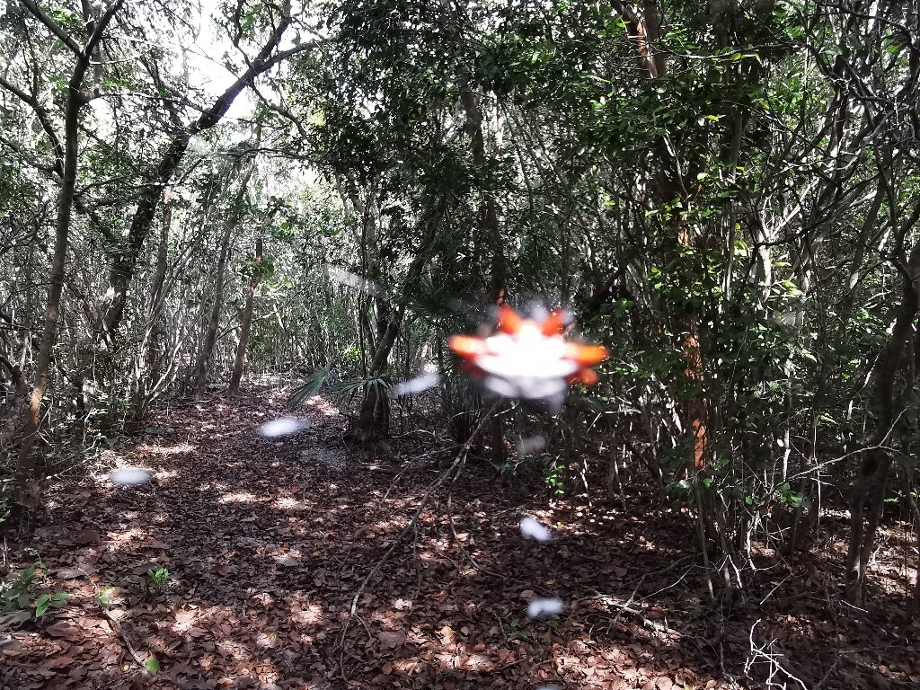 Adams Key-比斯坎国家公园必去景点