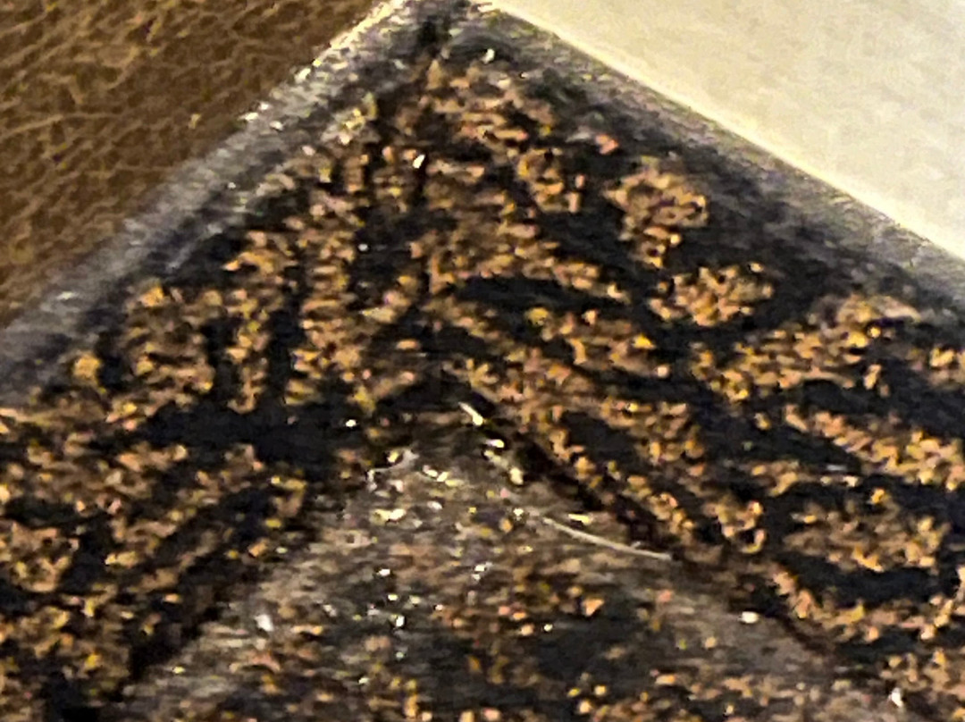 Stoney Creek Hotel St. Joseph主图