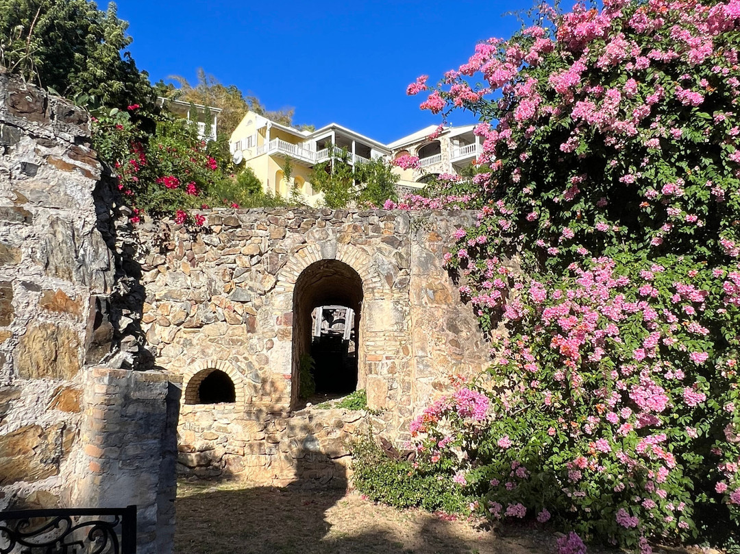 Estate Mount Washington-Frederiksted必去景点