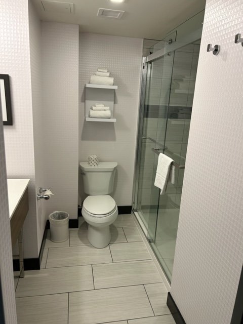 Hampton Inn By Hilton St. Catharines Niagara-浴室