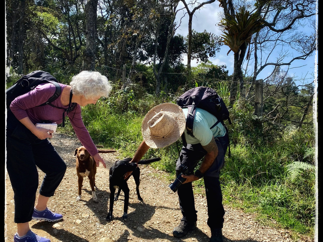 Ciclotrip Bicycle & Birding Tours-莱瓦镇必去景点