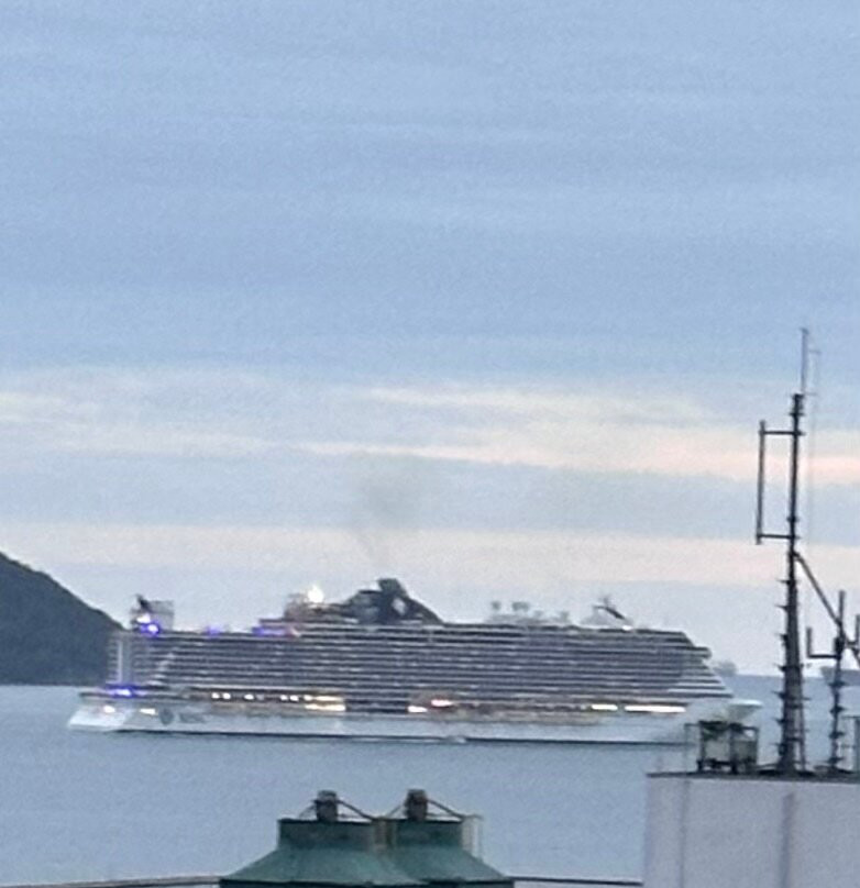 Bourbon Convention Hotel Santos主图