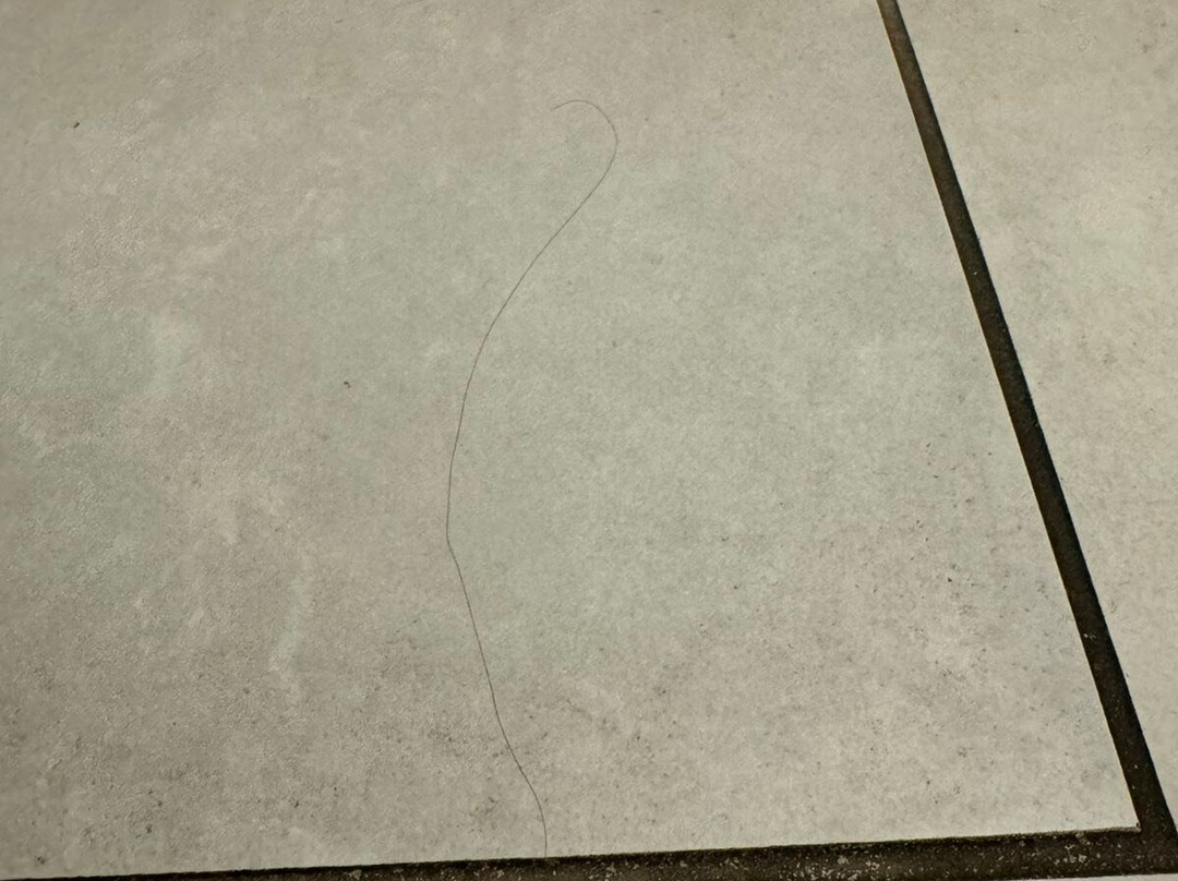 Holiday Inn Express & Suites Bardstown主图