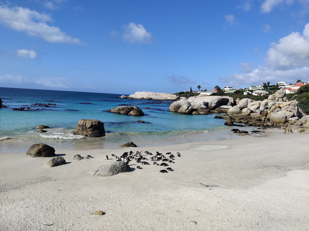 Guide Me Cape Town-开普敦中心区必去景点