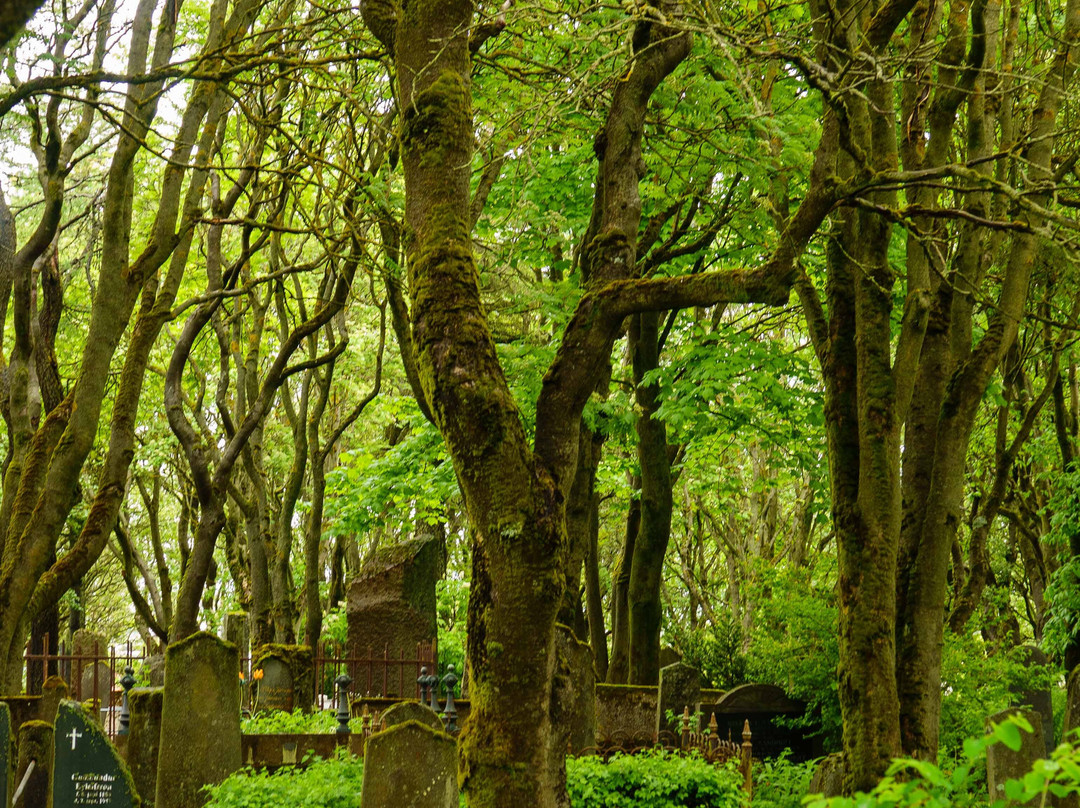 Cemetery Holavallagardur-雷克雅未克必去景点