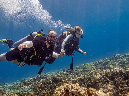 Scuba Barry LLC-维雷亚必去景点